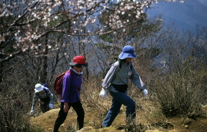 高川山